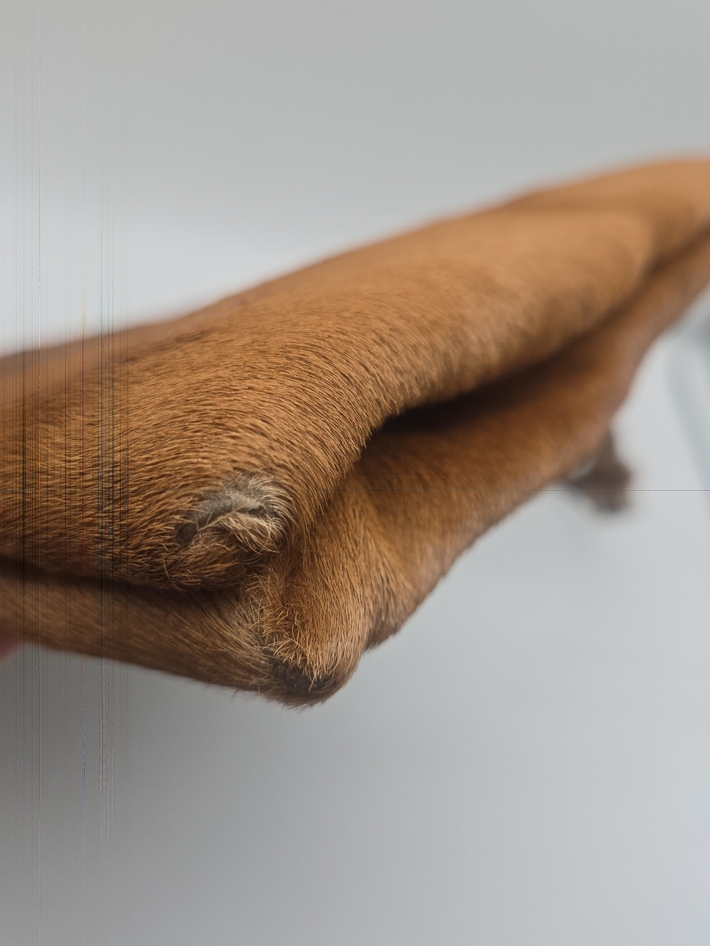 Prada Brown Pony Hair Shoulder Bag - Picture 7 of 16